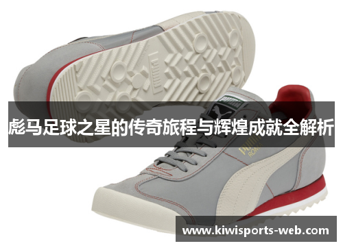 彪马足球之星的传奇旅程与辉煌成就全解析