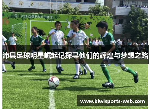 沛县足球明星崛起记探寻他们的辉煌与梦想之路